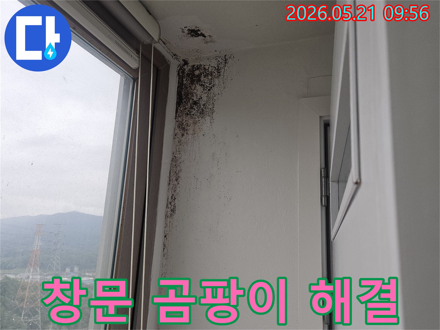 창문 상단 벽과 천장 모서리에 번식한-검은 곰팡이-습기-누수-피해 현장