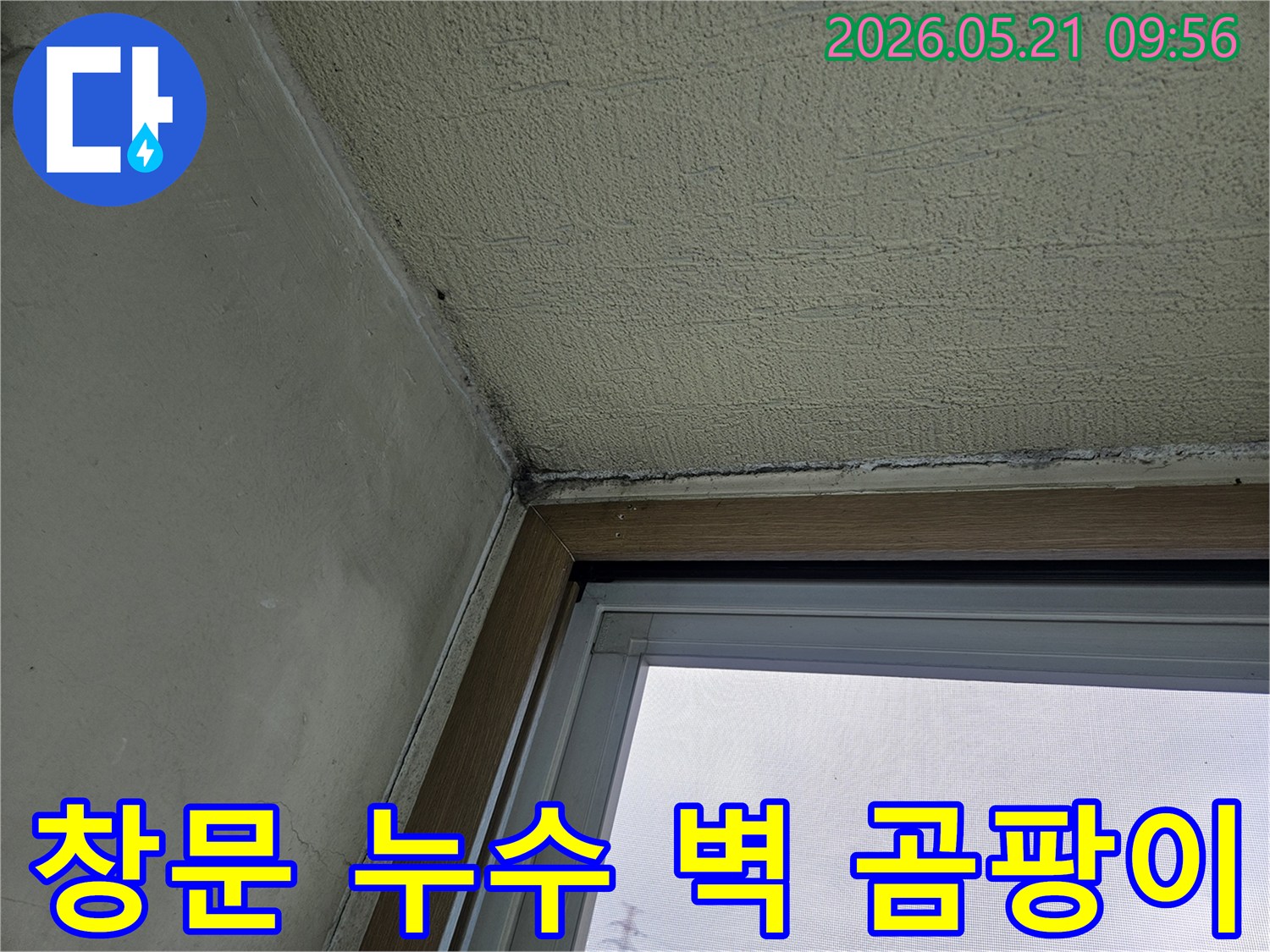 창문 주변 벽면에 발생한-곰팡이와-물기로 인한 손상을 보여주는-아파트 내부 벽의 모습
