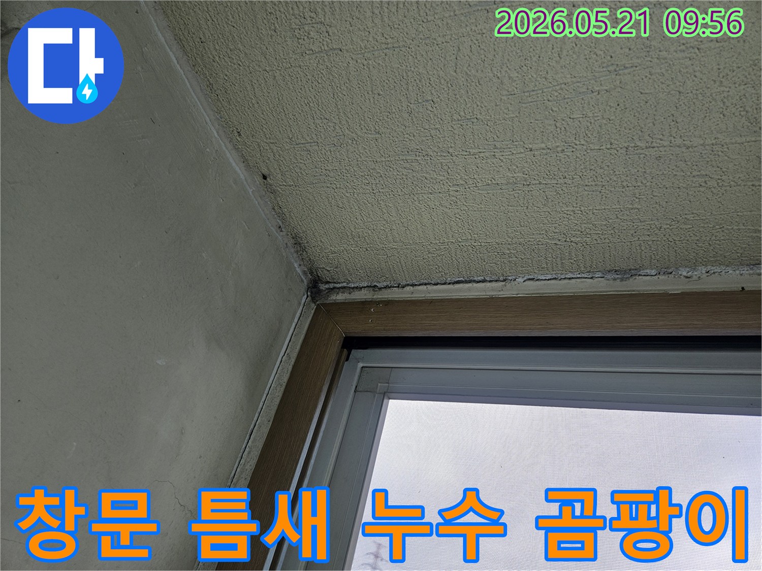 창문 하단과 벽이 만나는 지점에-발생한 곰팡이와-물기로 인한 손상을 보여주는-주택 내부 벽면의 클로즈업 사진