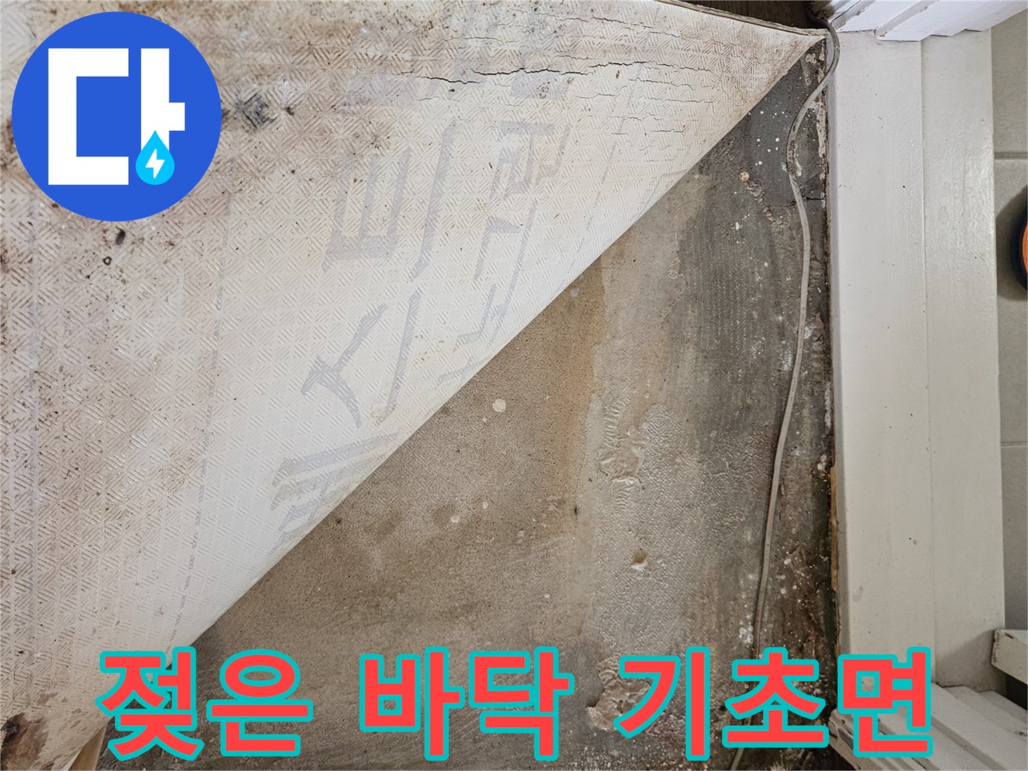 강동구 길동 현장-들춰낸 장판 아래의 젖은 콘크리트 부위
