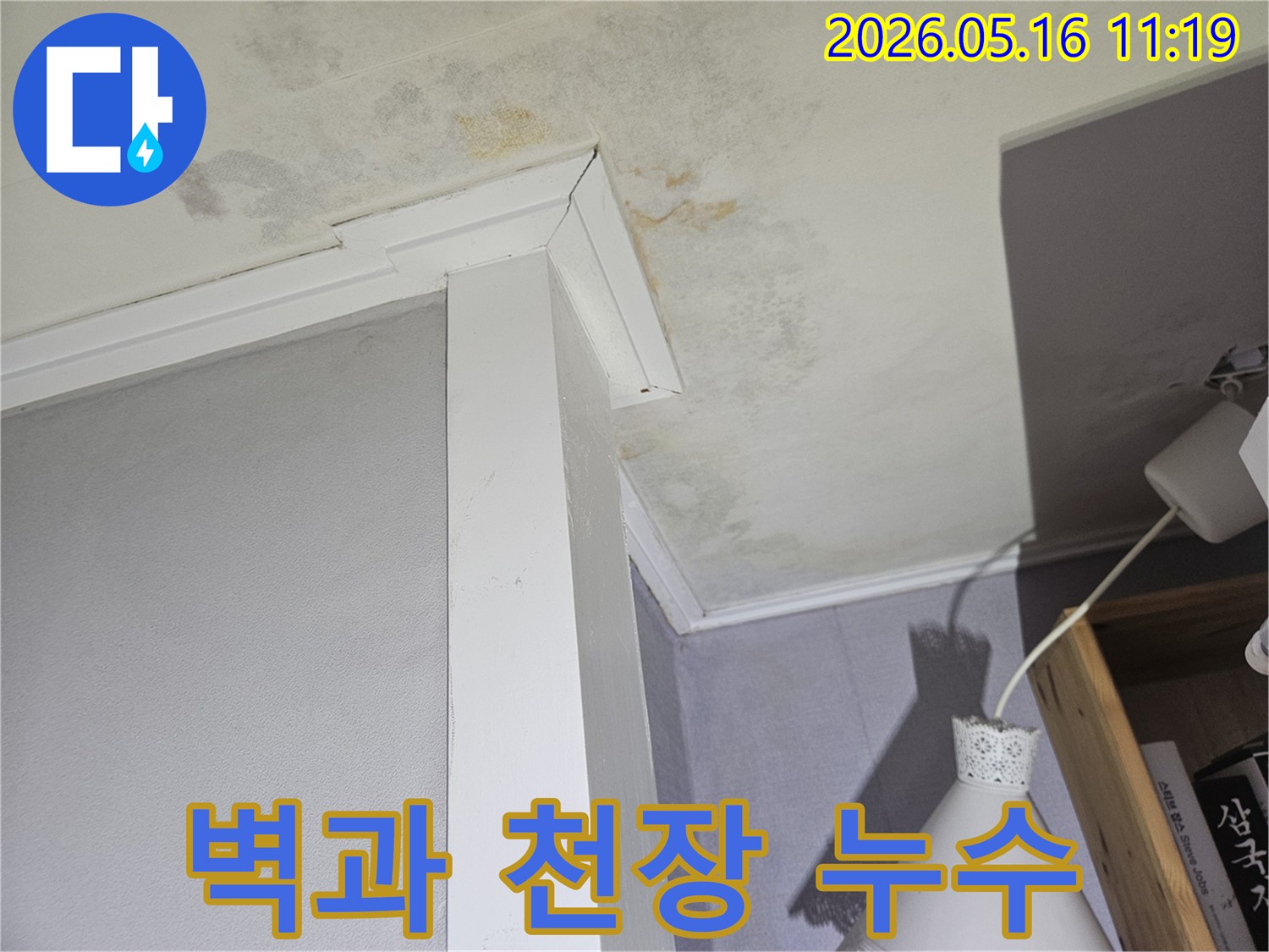 물자국과-함께-벽면-몰딩-주변으로-확산된-천장-곰팡이-문제를-명확히-보여줍니다.