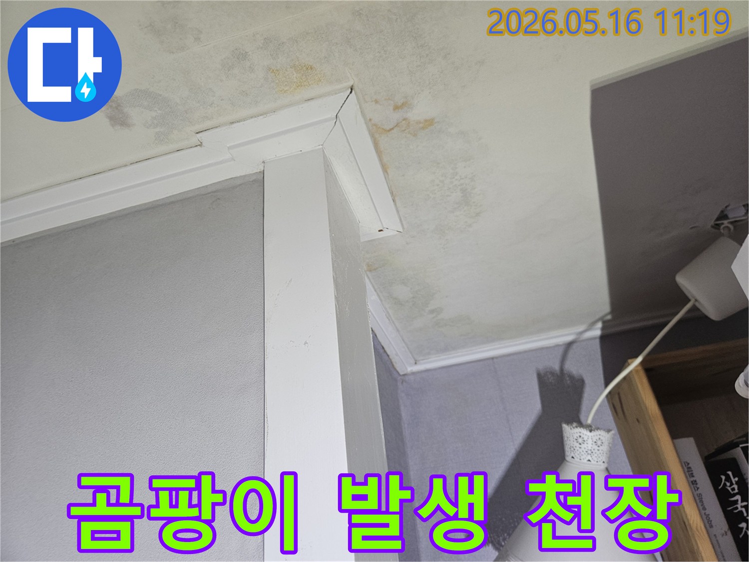 천장과-벽면-모서리에-발생한-심각한-누수-흔적과-곰팡이-피해를-보여주는-사진입니다.