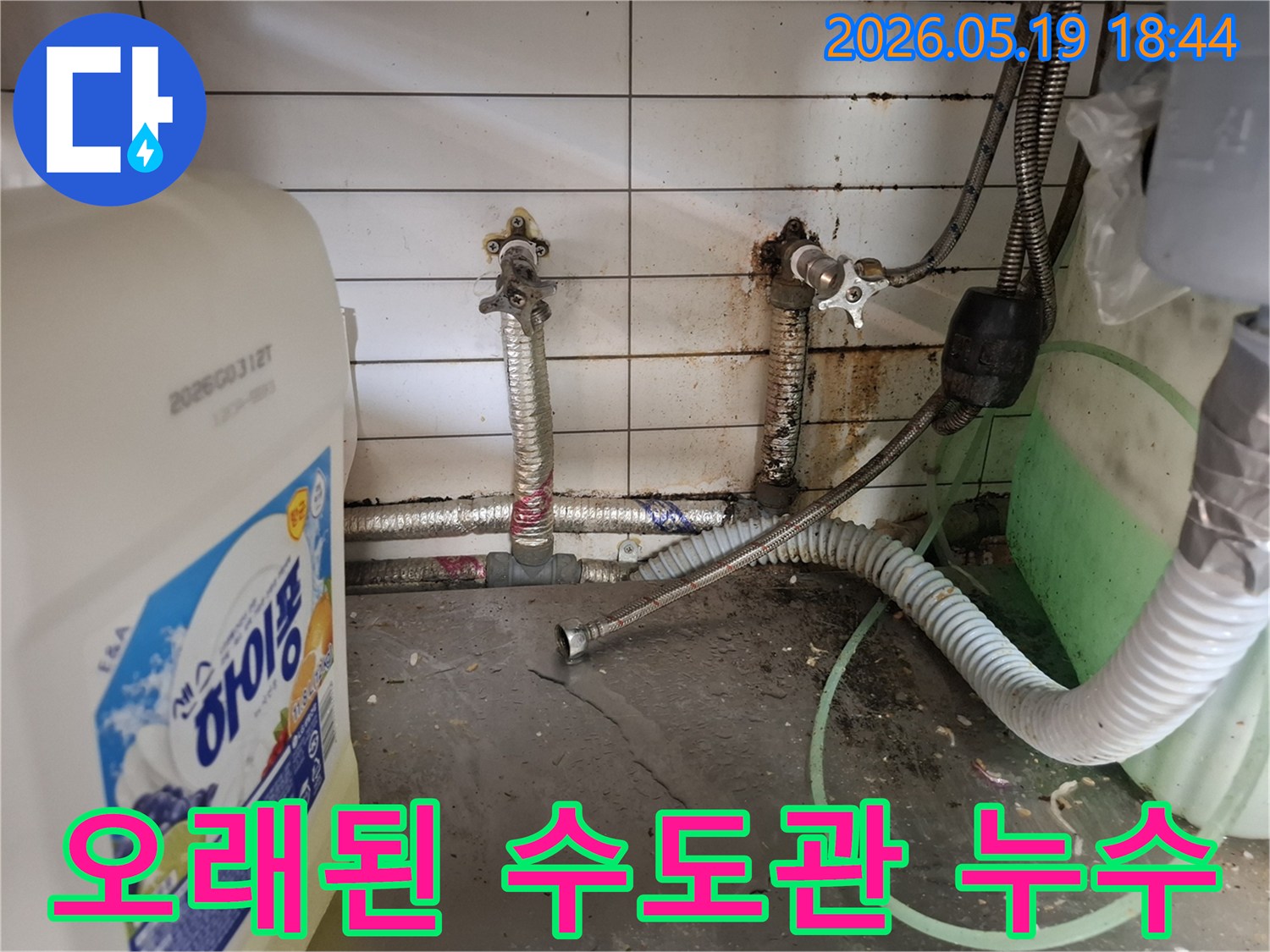 물때와 녹으로-오염된 배관 주변에서-누수 지점을-정확히 파악하는-전문가의 시선