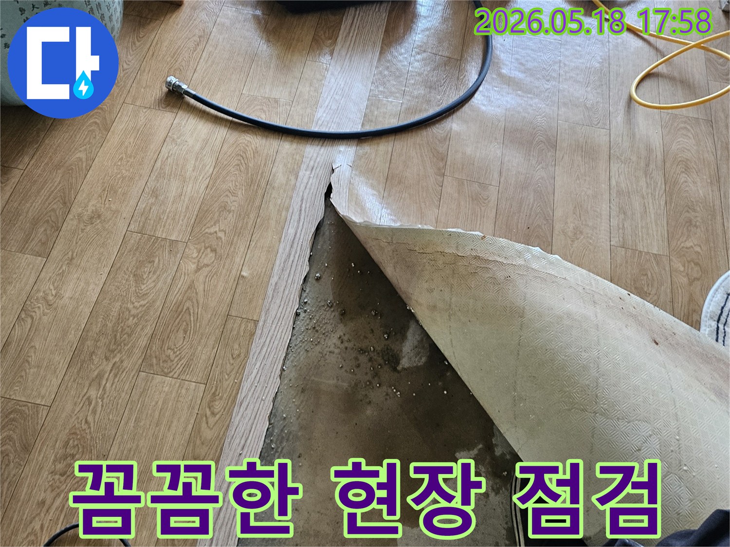 누수 전문가가-바닥 장판을 걷어내고-물이 고인 상태를-꼼꼼하게 점검하는-현장 작업 모습
