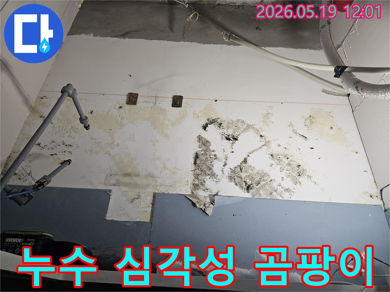 누수로-인해-벽면에-발생한-심각한-곰팡이-오염을-통해-누수의-심각성을-보여주는-사진