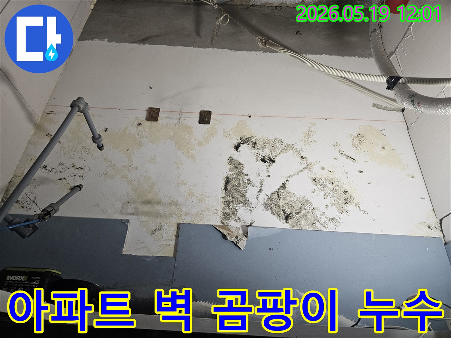아파트-벽면에-누수로-인해-발생한-심각한-곰팡이-오염과-벽지-손상-상태를-보여주는-사진