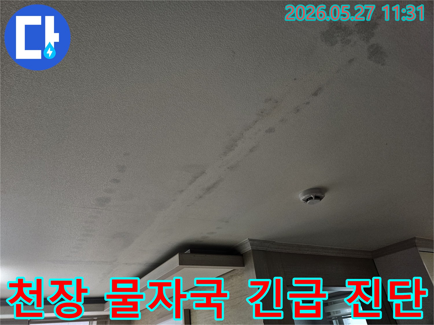 천장에-나타난-물자국은-긴급한-누수-진단과-조치가-필요함을-알려줍니다