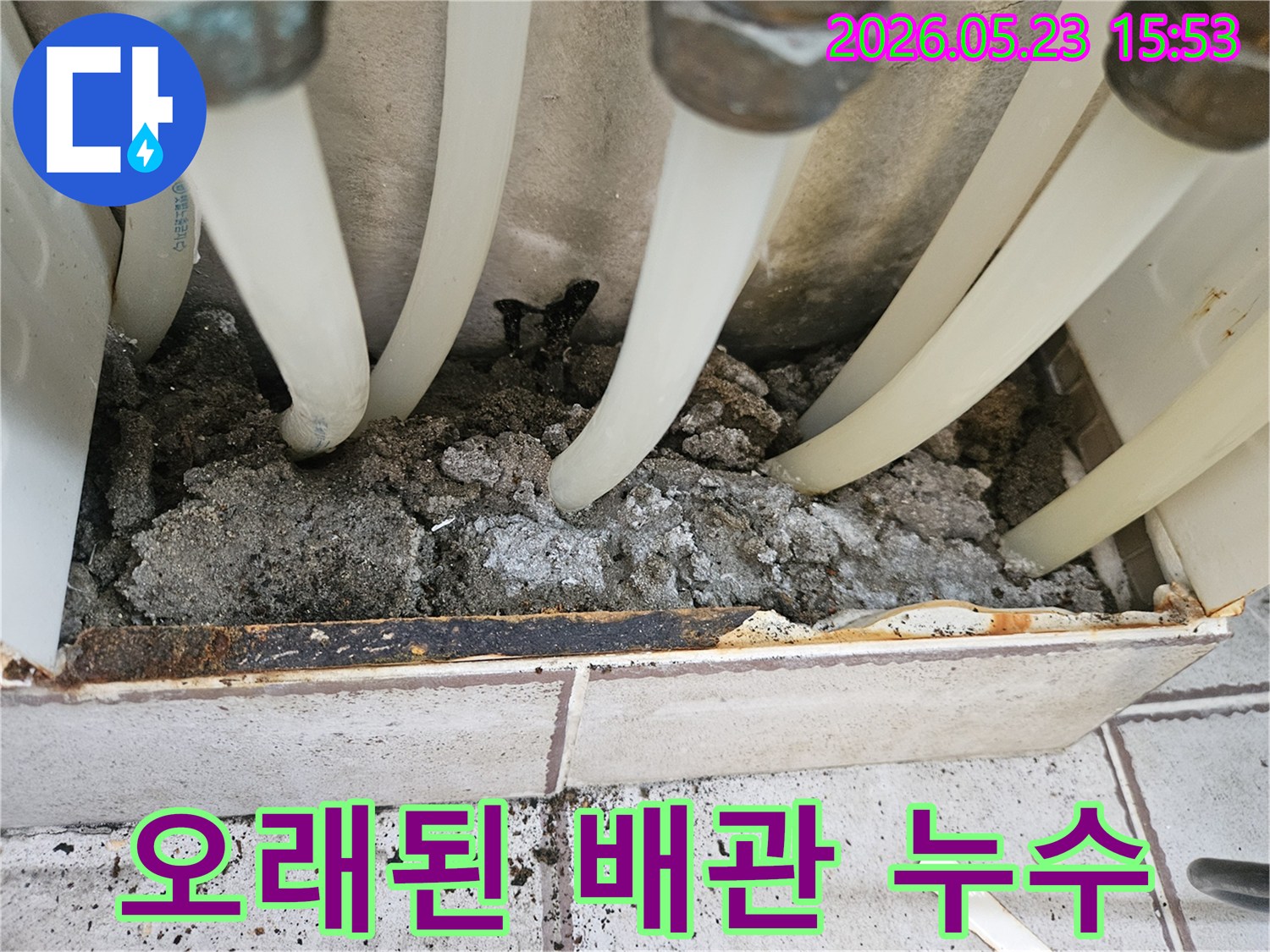 중랑천로12길 인근에서-오래된 배관에서 발생한 누수로 인해-주변이 젖어 있는 현장 사진