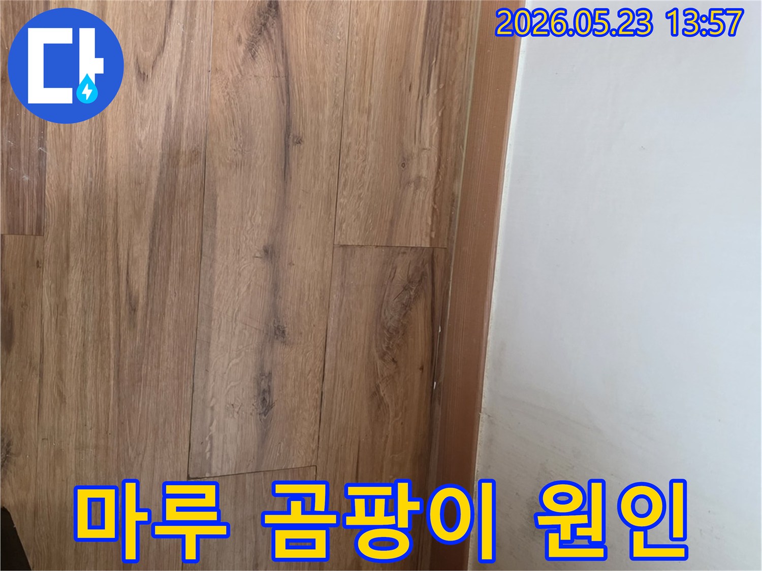 누수로-인해-마루가-변색되고-곰팡이가-발생한-현장에서-근본-원인을-찾는-과정을-보여주는-사진입니다.