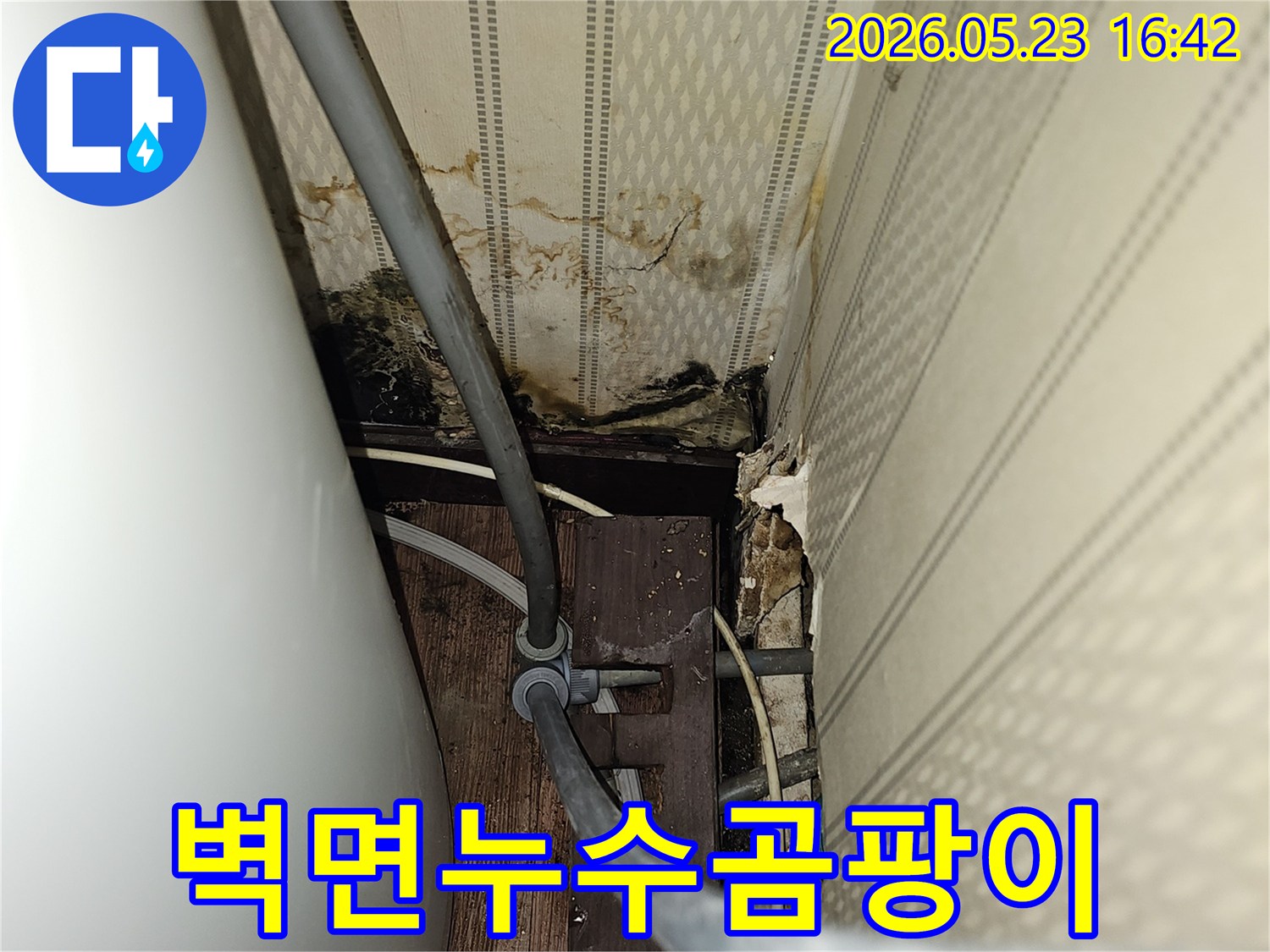 이 사진은 심각한 벽면 누수와-그로 인한 곰팡이 발생 현장을-정확하게 보여주고 있습니다.