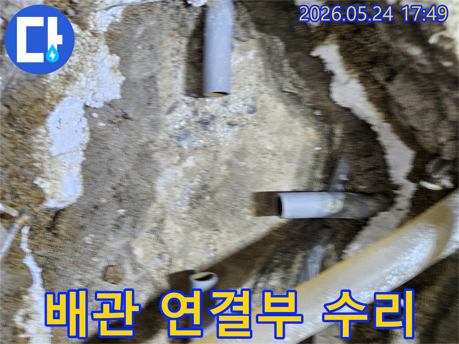 정밀 탐지 후 배관 연결부위의 누수를 확인하고-완벽한 수리를 위해 굴착된 현장입니다