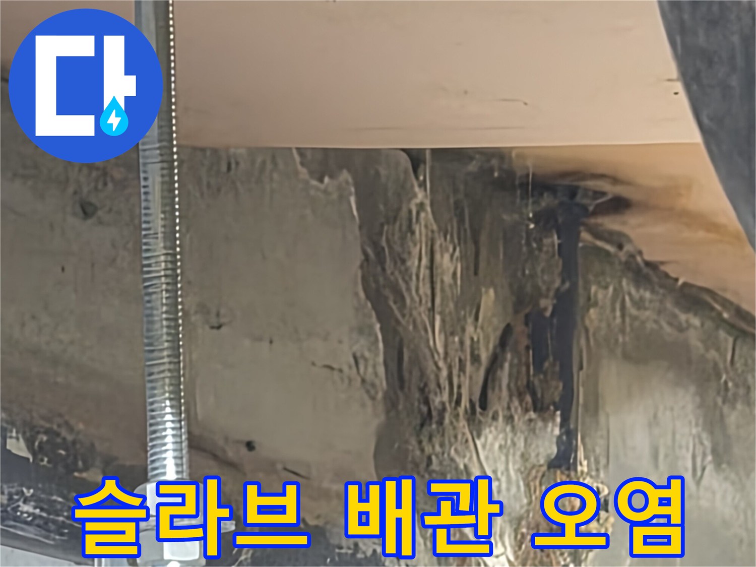 천장 슬라브 부위 - 물에 젖어 변색된 콘크리트와 배관 주변의 오염 상태