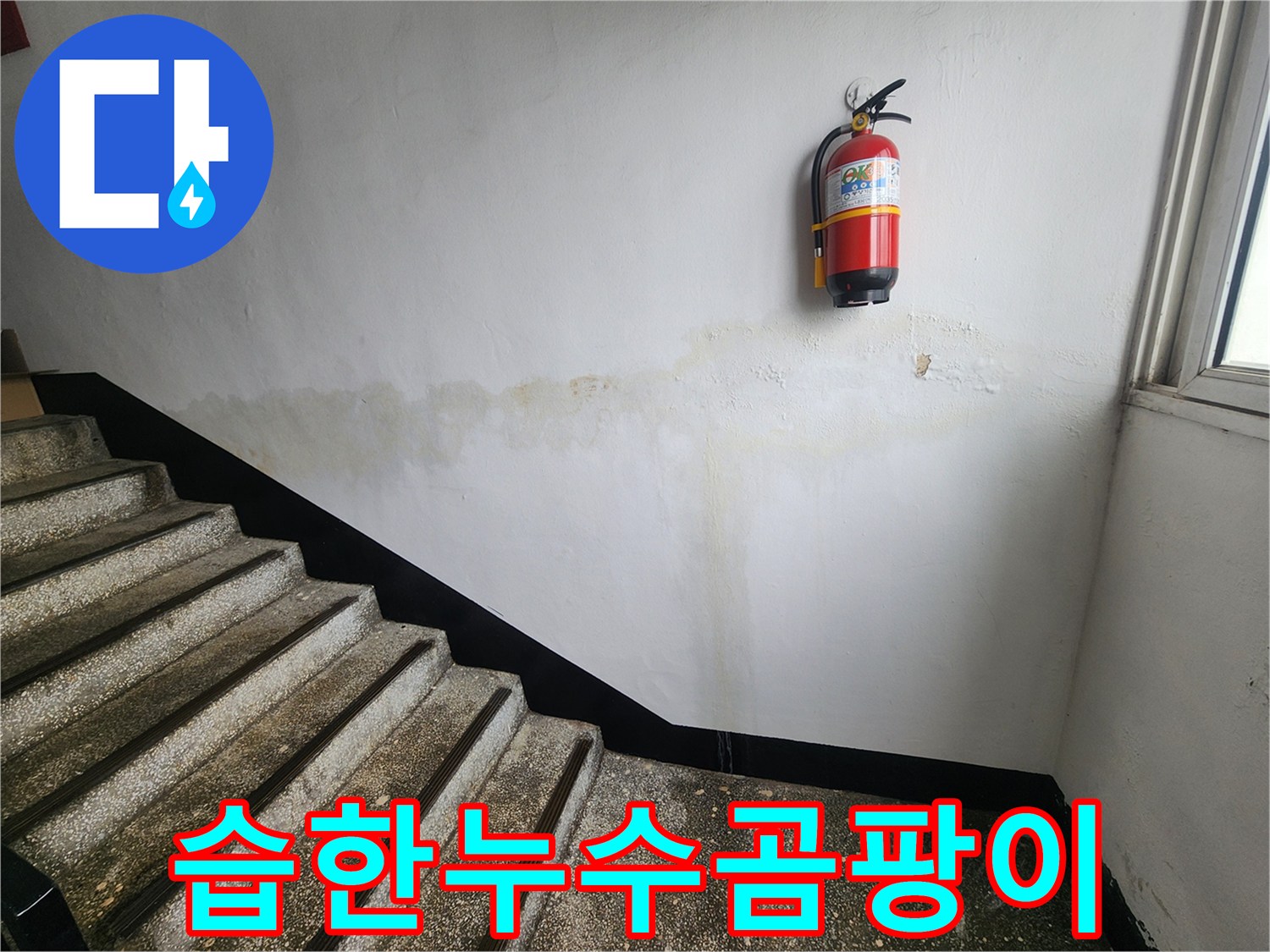 이-사진은-인천 남동구 아파트 계단 벽면의-어둡고 습한 누수 부위를-보여주며-곰팡이 발생의 위험성을-경고합니다