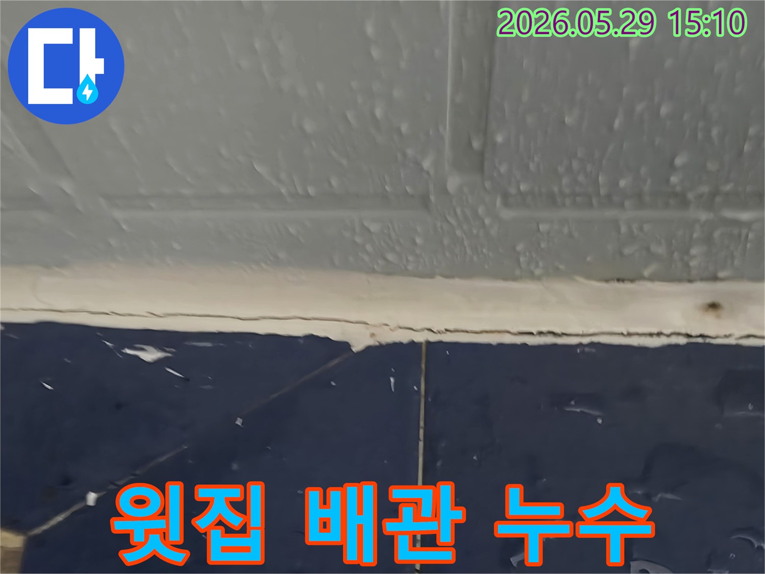 천장과 벽면 경계에 맺힌 물방울-윗집 배관 문제로 인한 누수 현장-전문가가 해결 중