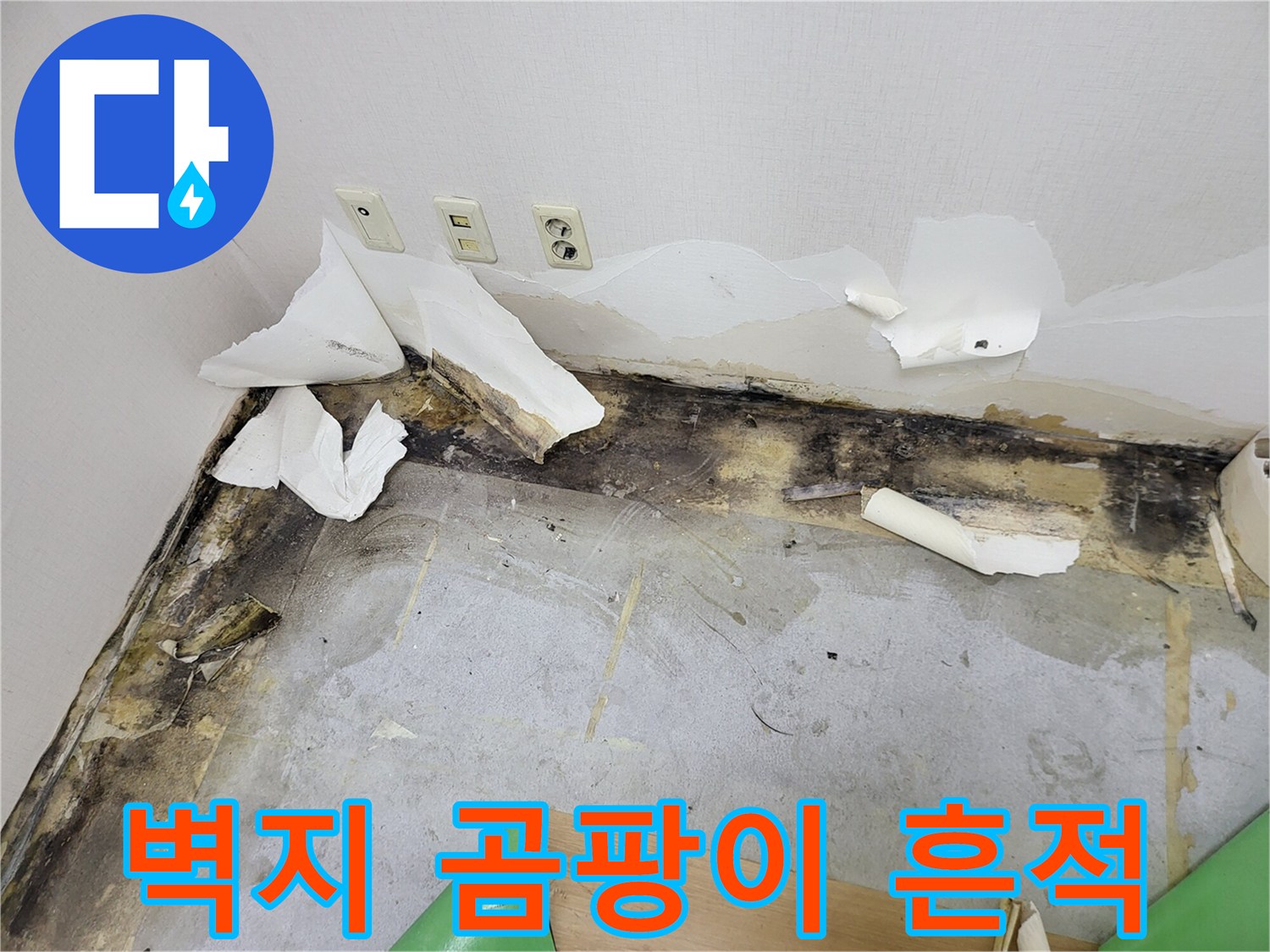 송파구 현장-벽지 하단부의 검은 곰팡이와 습기 변색 상태
