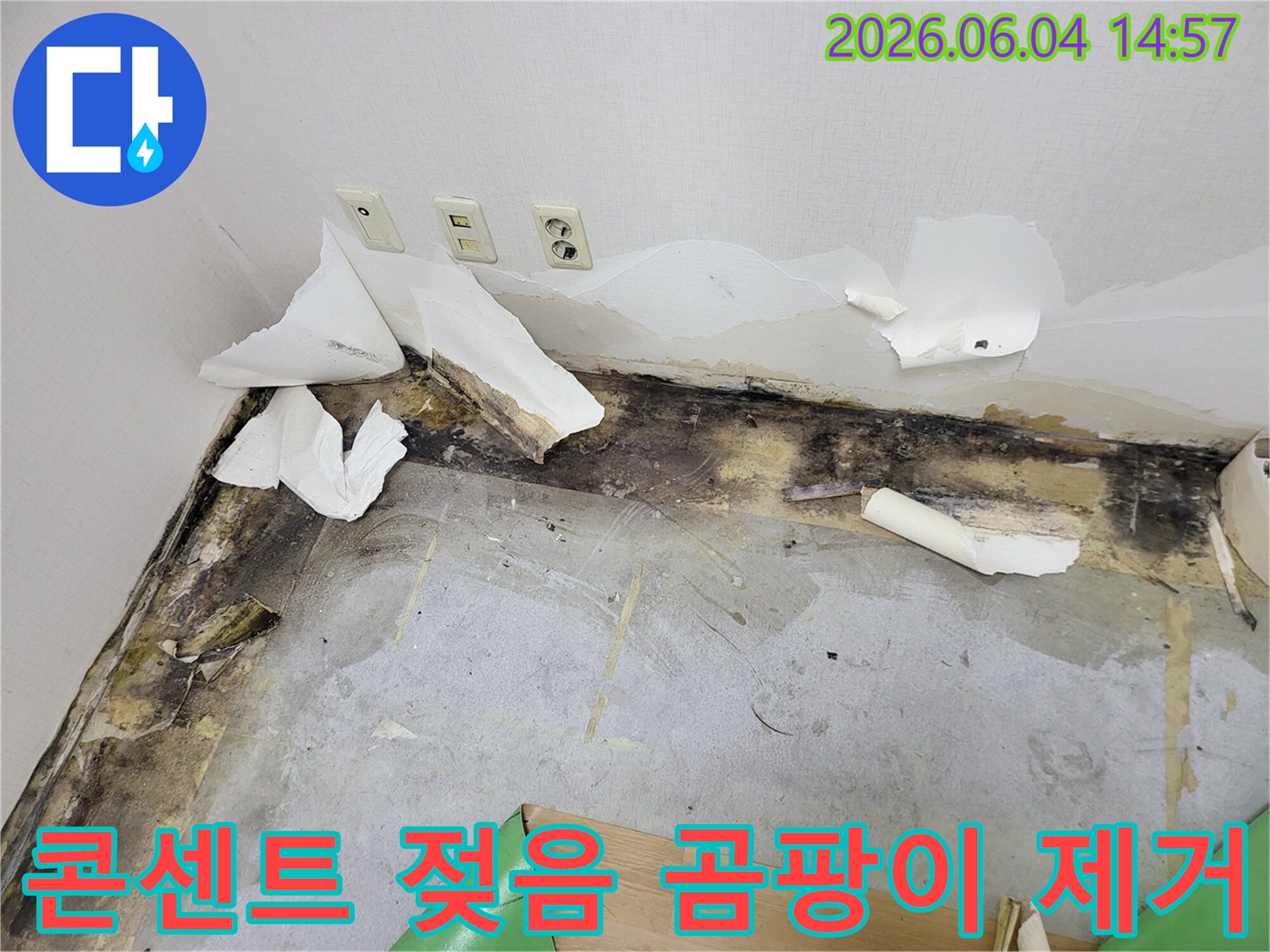 콘센트 주변 벽지가 젖어 들뜨고-그 아래로 검은 곰팡이가 심하게 번져있는-누수 피해 현장의 상세 모습
