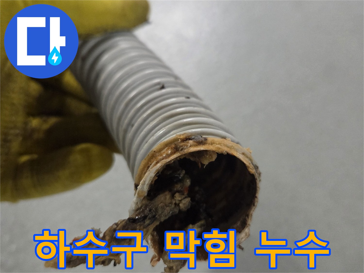 노란 장갑을 낀 손이-이물질로 막힌 배수관을 들고-누수 가능성을 확인하고 있습니다.