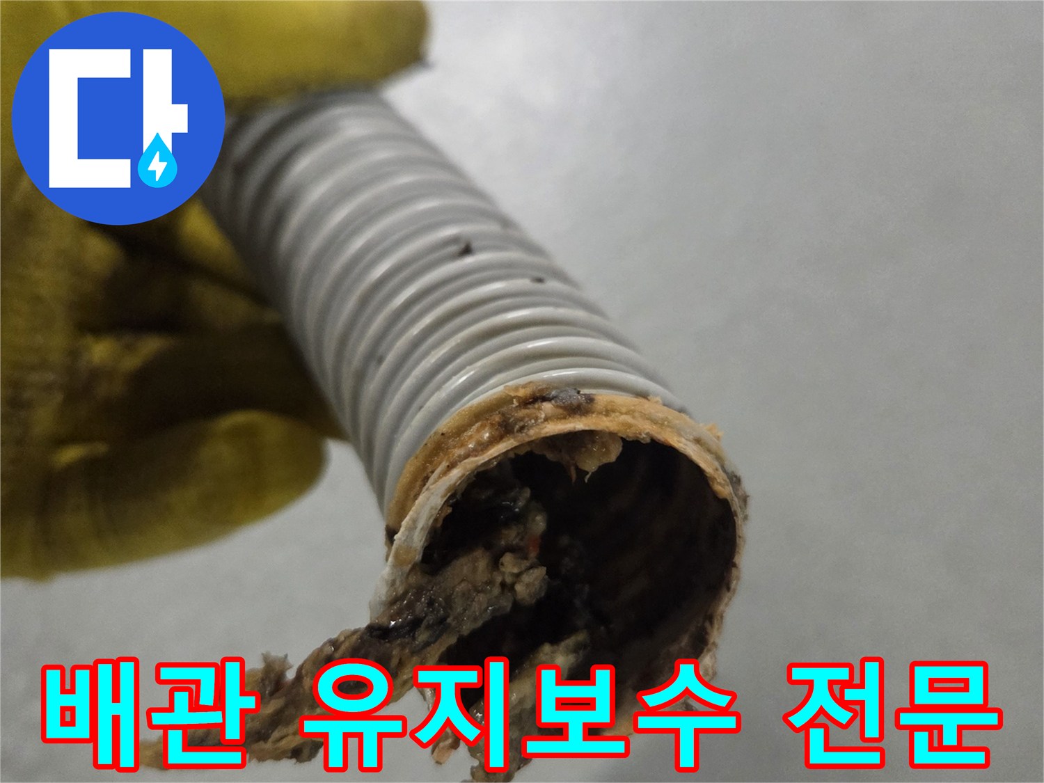 노란색 장갑을 낀 손이-유지보수가 필요한-오염된 배수관을 들고 있습니다.
