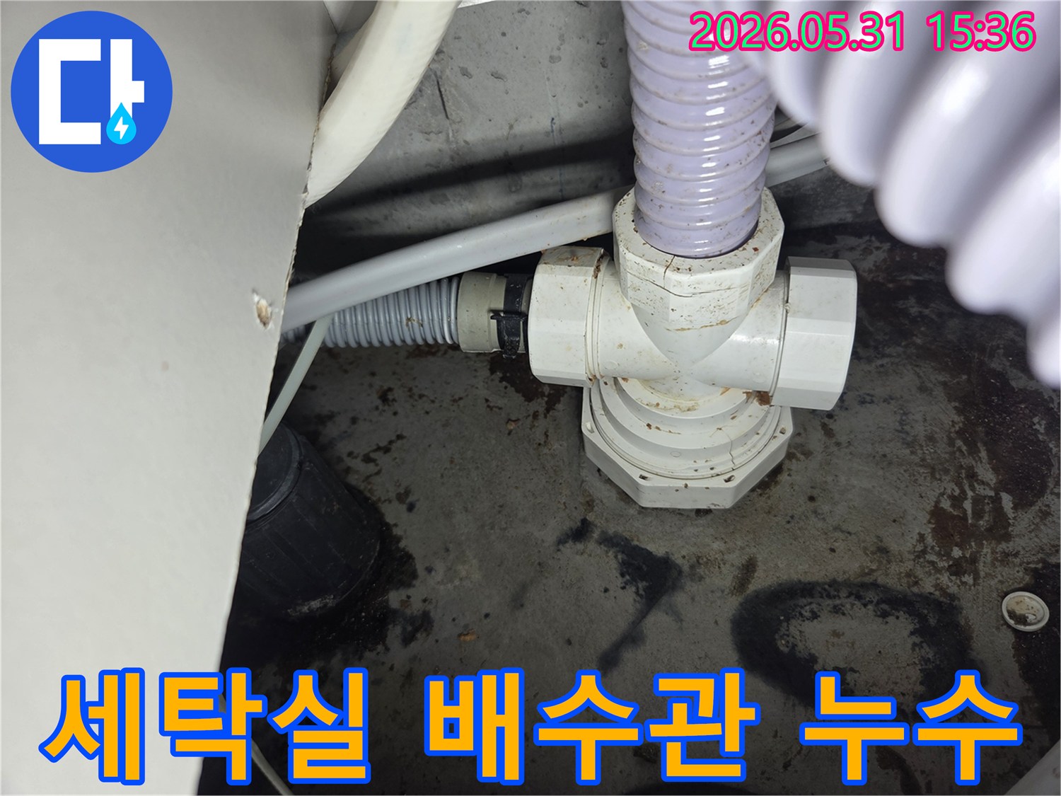 세탁실-배수관-연결부에서-발견된-물샘-현장을-보여주는-사진입니다.