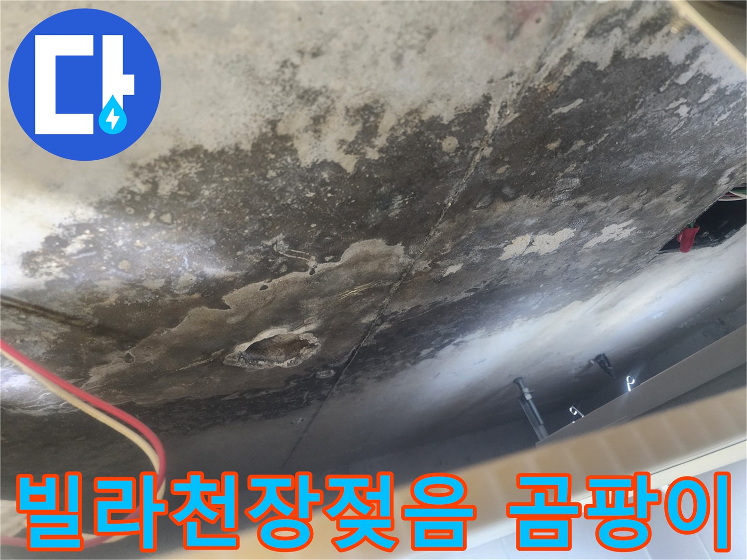 빌라 아랫집 천장에 물이 새어 젖고 곰팡이가 피어오른 심각한 누수-피해 현장 모습입니다.