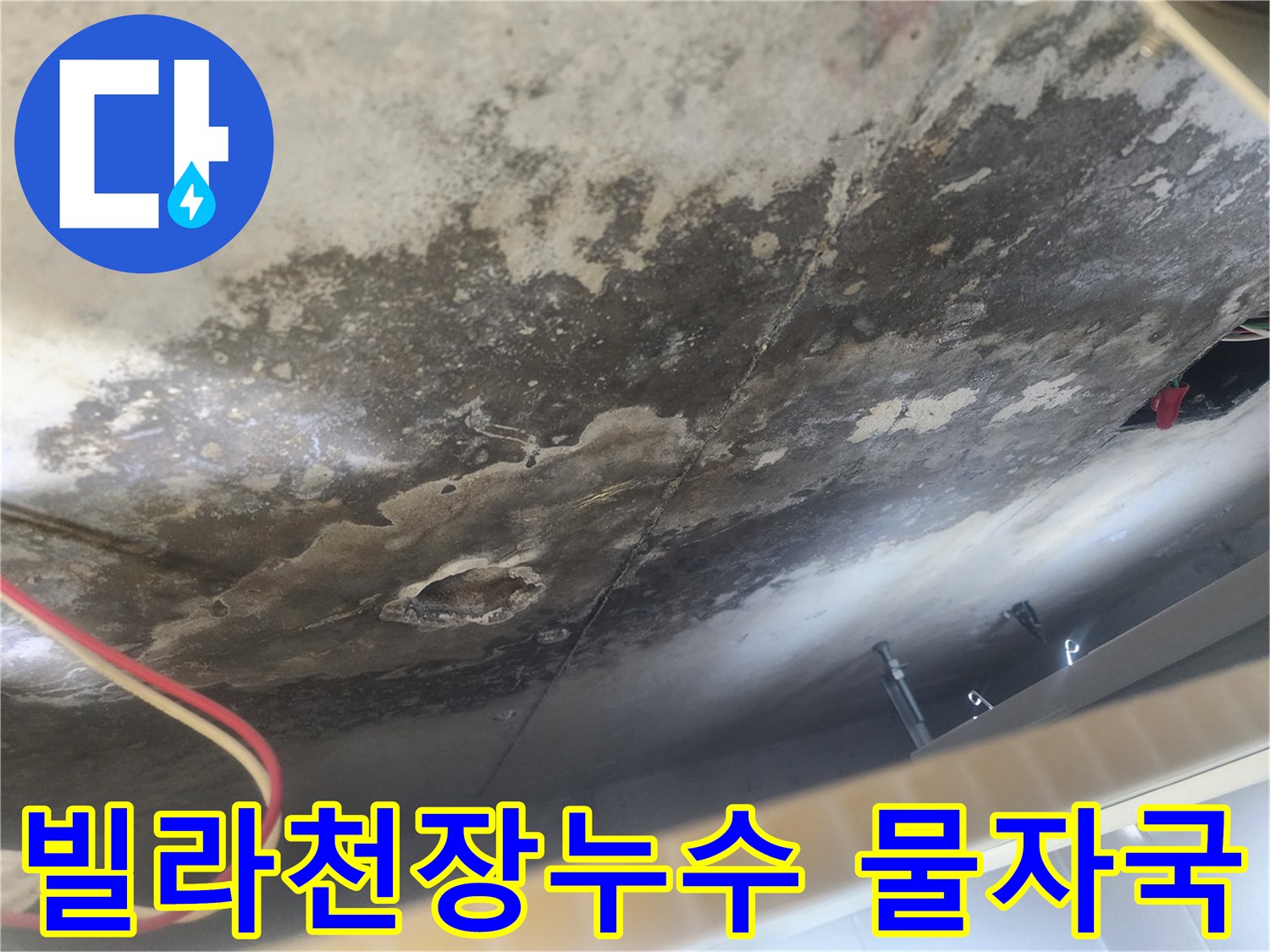 빌라 아랫집 천장에 발생한 누수-피해-물자국과 곰팡이가 광범위하게 퍼져있는 심각한 현장 모습입니다.