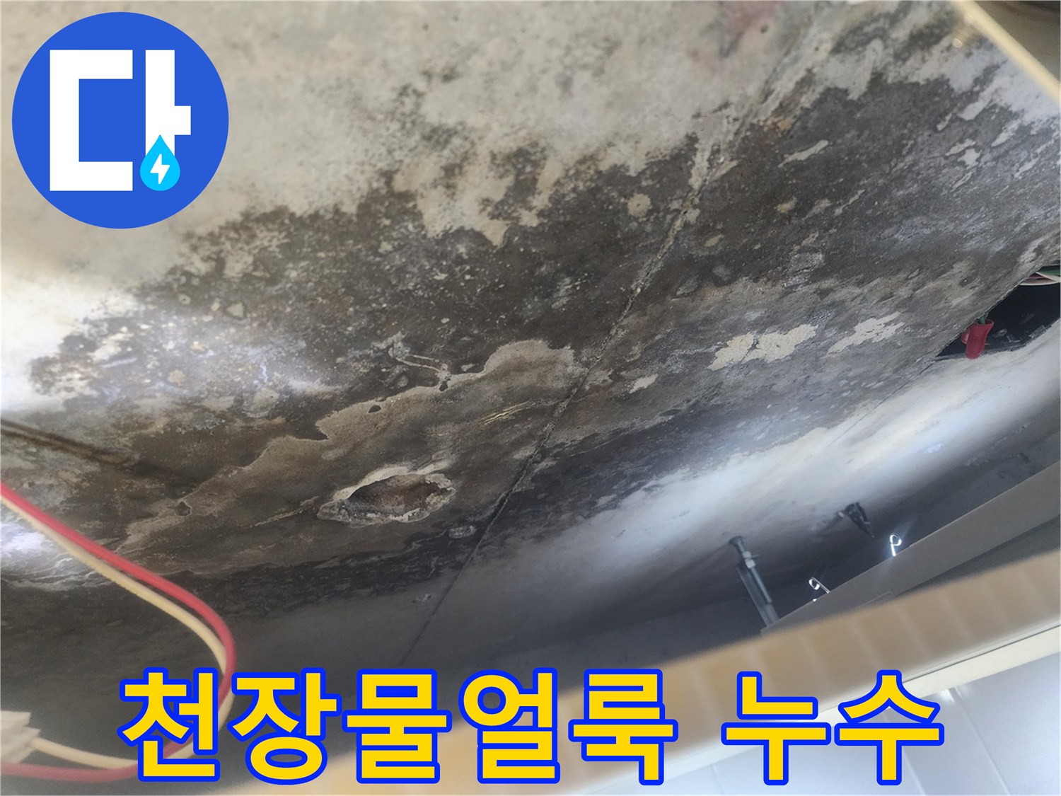 아랫집 천장에 물이 새어 물얼룩과 곰팡이가 피어오른 심각한 누수-피해 현장-윗집으로부터의 물샘이 원인입니다.