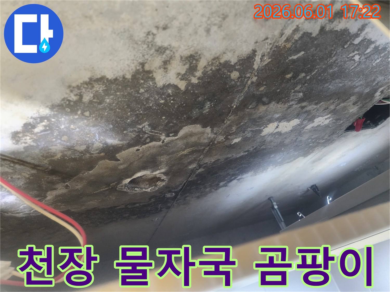 아파트 천장에 발생한-누수로 인한-물얼룩과-곰팡이-그리고 손상된-표면을 담은-현장 사진입니다.