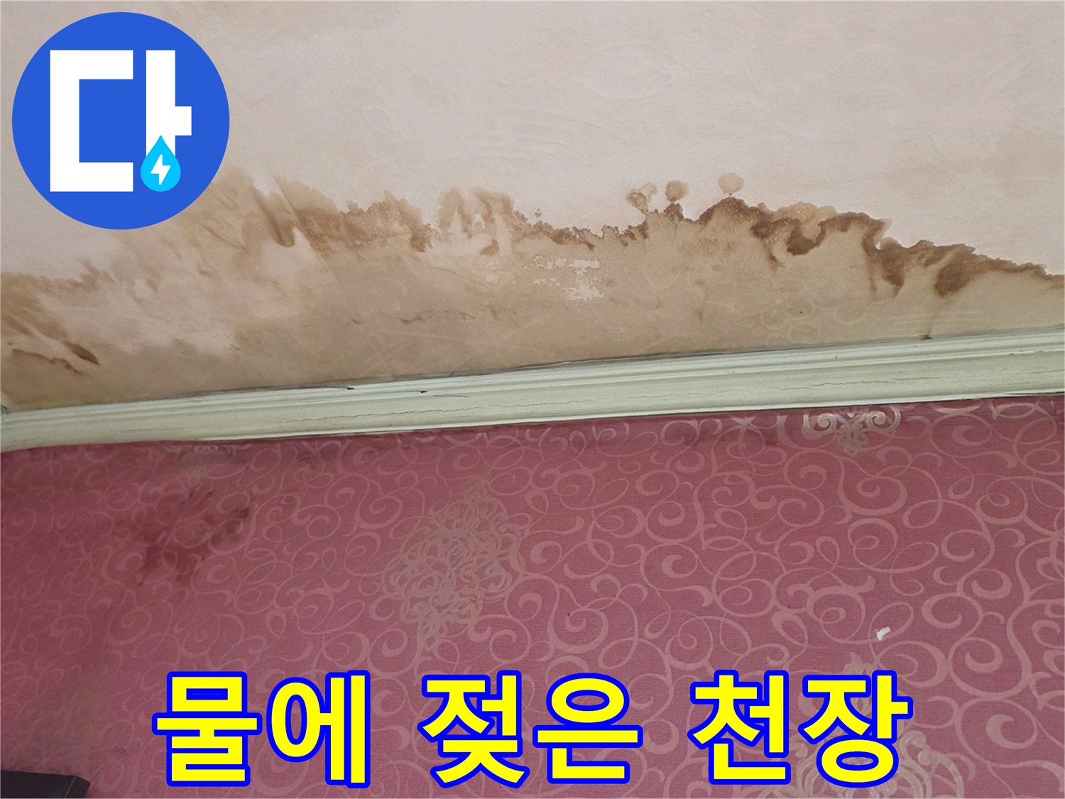 천장 몰딩 주변으로 번진-갈색의 습기 자국과 오염된 벽지