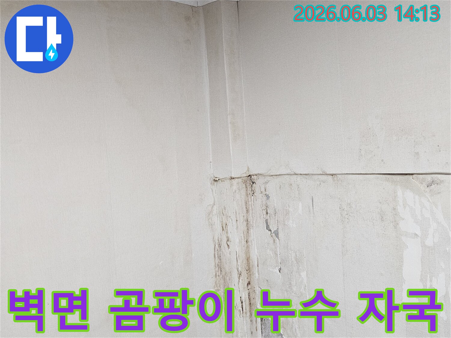 벽면-상단에-누수로-인한-얼룩과-곰팡이가-번지고-있는-모습