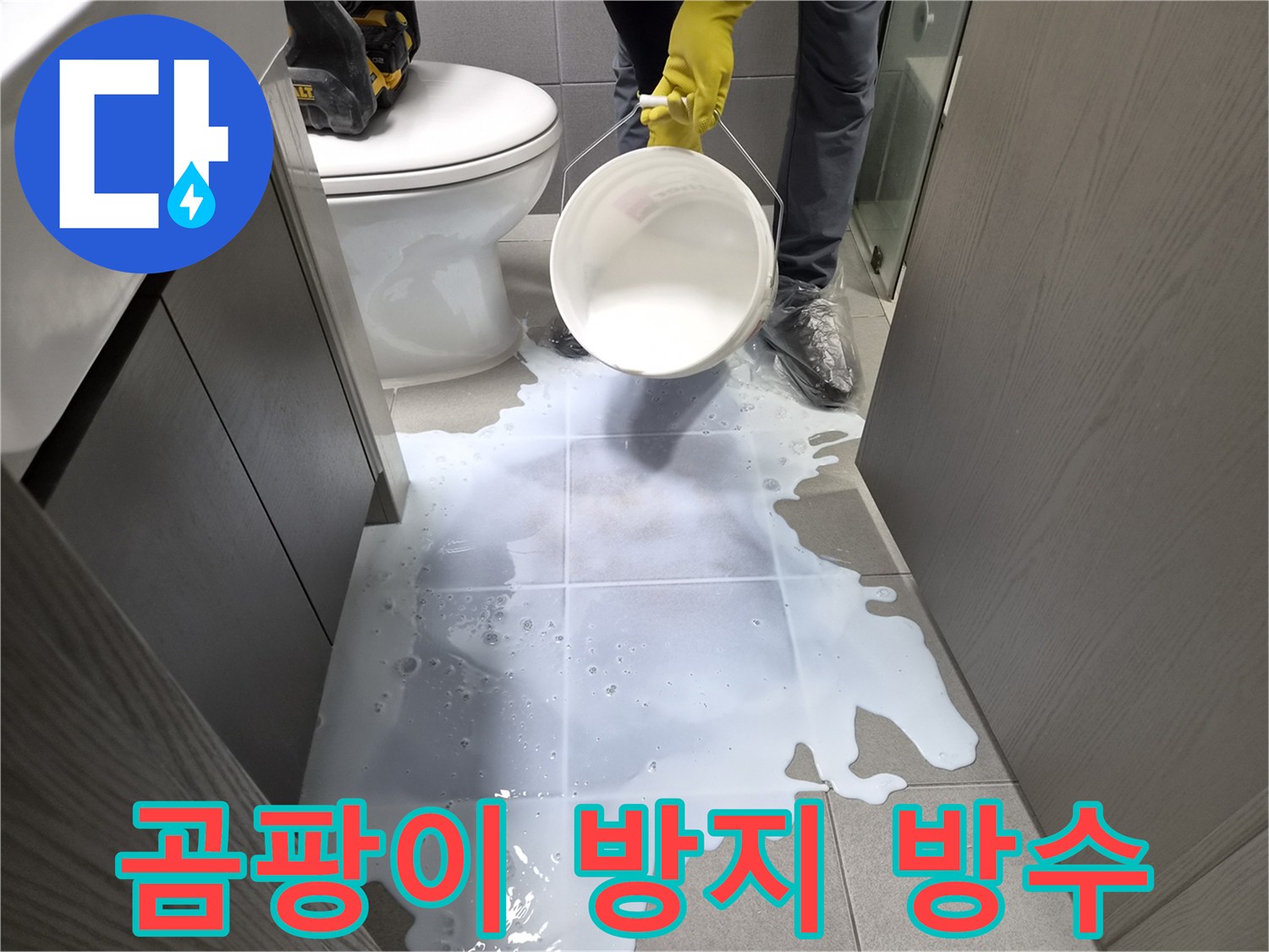 누수-전문가가-화장실-바닥에-곰팡이-방지-기능이-있는-방수액을-도포하여-누수와-곰팡이를-동시에-해결하는-작업