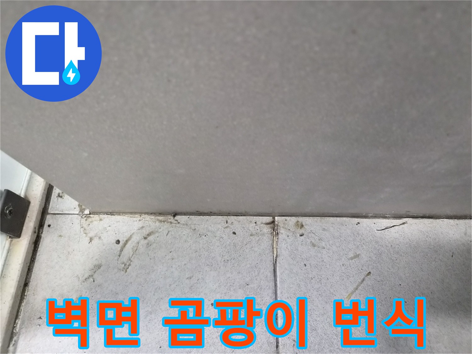 벽면-하단부에-습기로-인해-번식한-곰팡이와-오염-현상