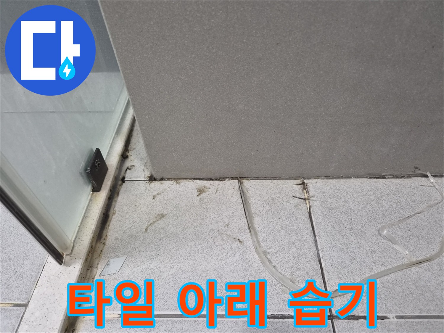 욕실-바닥-타일-틈새로-물이-스며들어-타일-아래에-숨겨진-습기-문제를-보여주며-2차-피해를-경고하는-사진