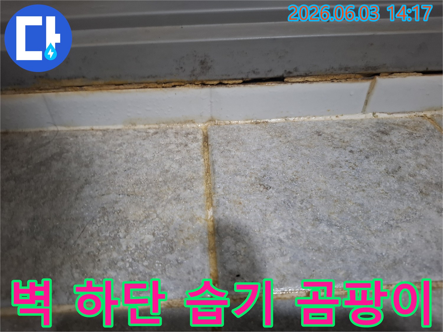 벽면 하단부에 습기와 곰팡이가 심하게 발생하여-장기간 누수가 진행되었음을 보여주는 현장입니다