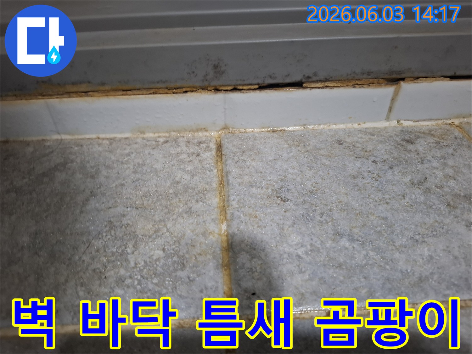 벽면과 바닥 사이 틈새에 곰팡이가 심하게 발생하여-지속적인 습기와 누수가 의심되는 현장입니다