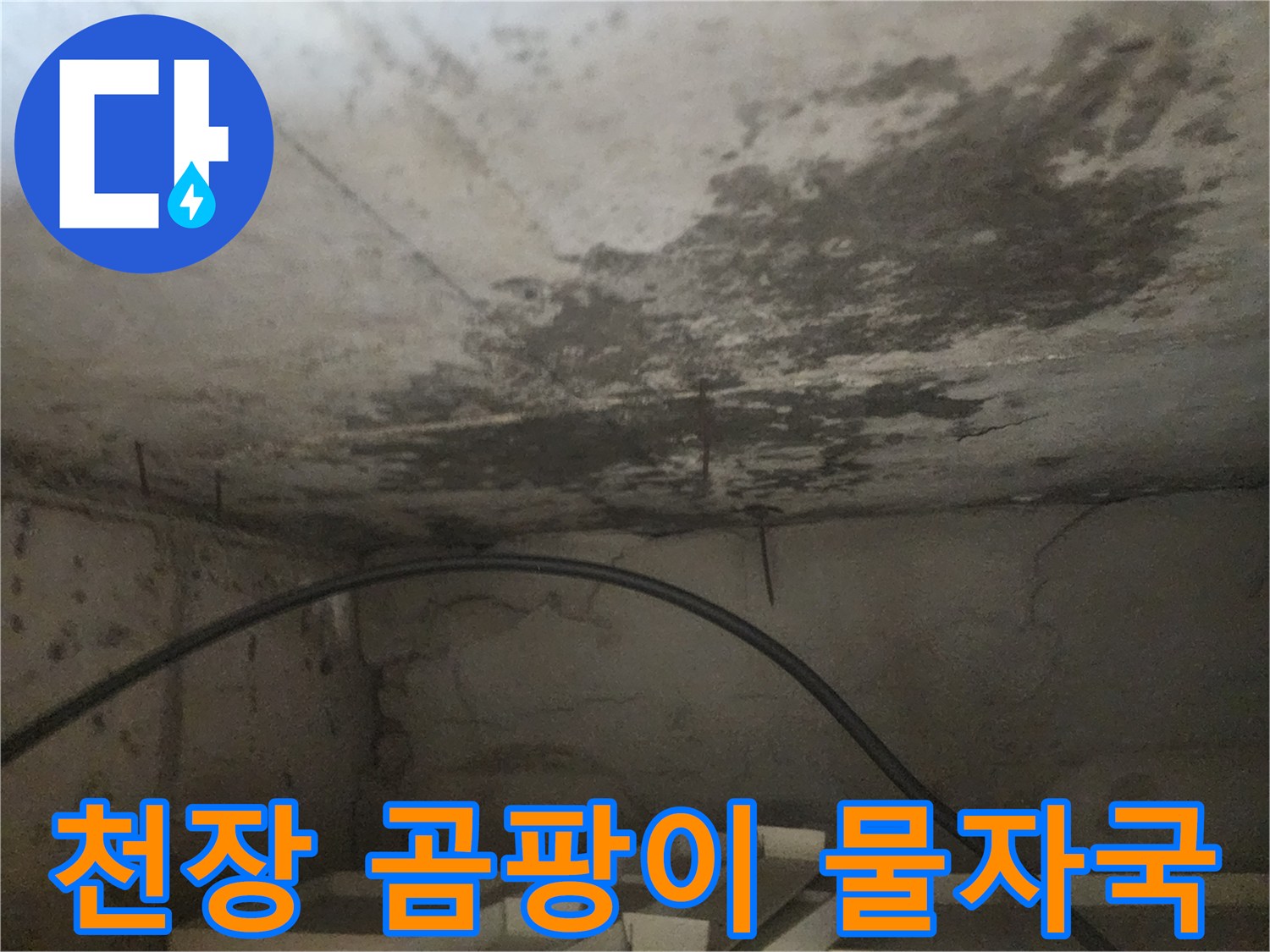 아래층 화장실 천장에 생긴-심각한 곰팡이와 물자국을 보여주는-누수 현장 사진입니다.