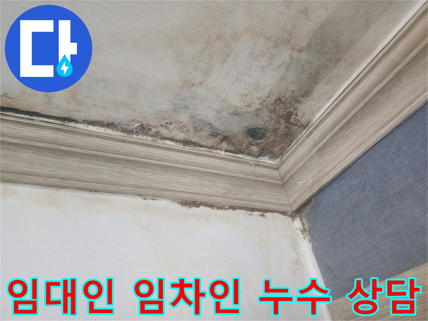 평택 아파트 천장 누수로-인해 발생한 곰팡이와-물자국은-임대인과 임차인 간의 분쟁 해결을 위한-전문가 상담이 필요합니다.