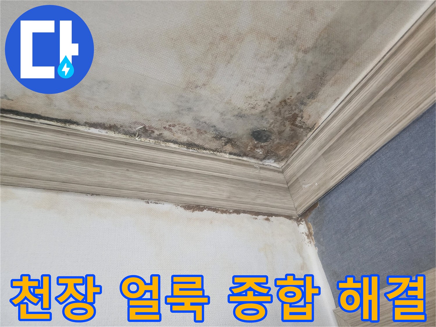 평택 아파트 천장에 생긴 심한 얼룩과-곰팡이는-누수 원인을 정확히 찾아내고-종합적인 해결책이 필요한 상황입니다.