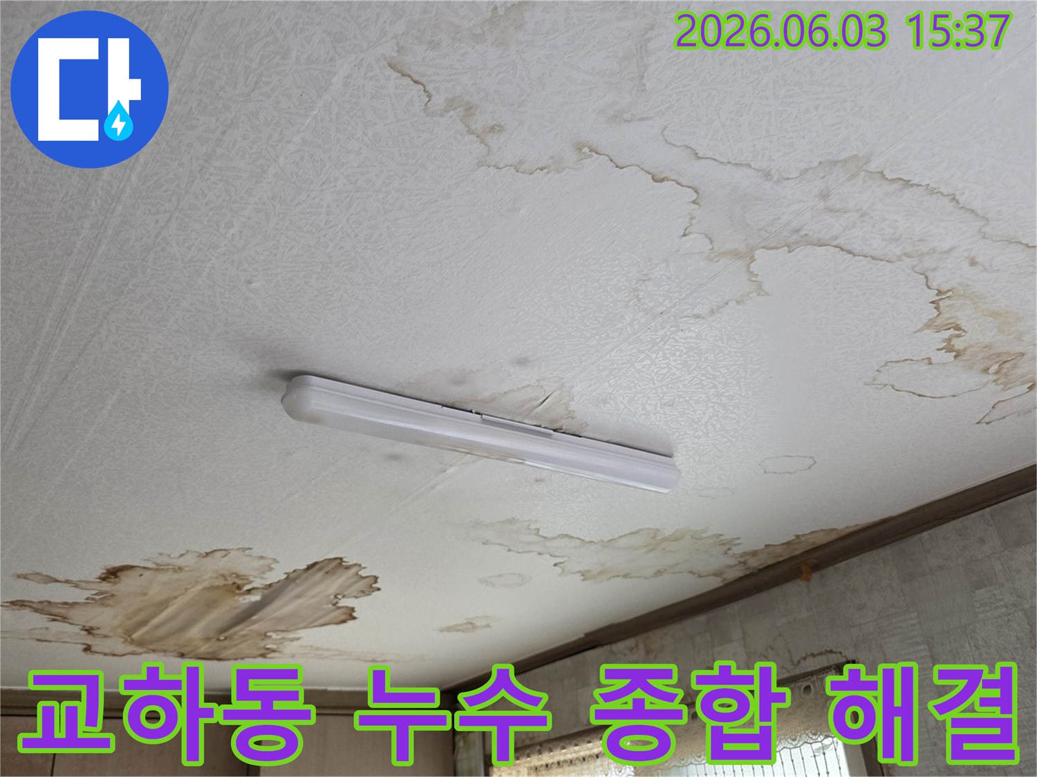 파주 교하동 주택-천장 누수 문제를 종합적으로 해결하는-전문 서비스 현장
