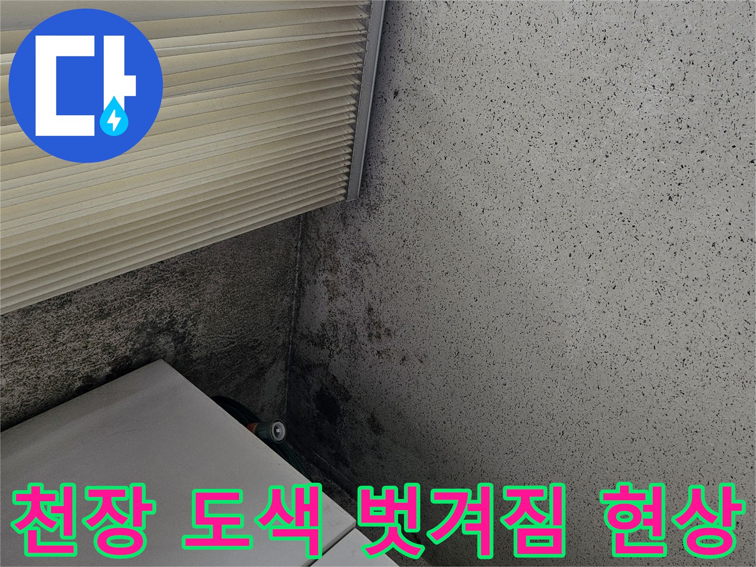 도색이 벗겨지고 곰팡이가 발생한 베란다 천장 구석