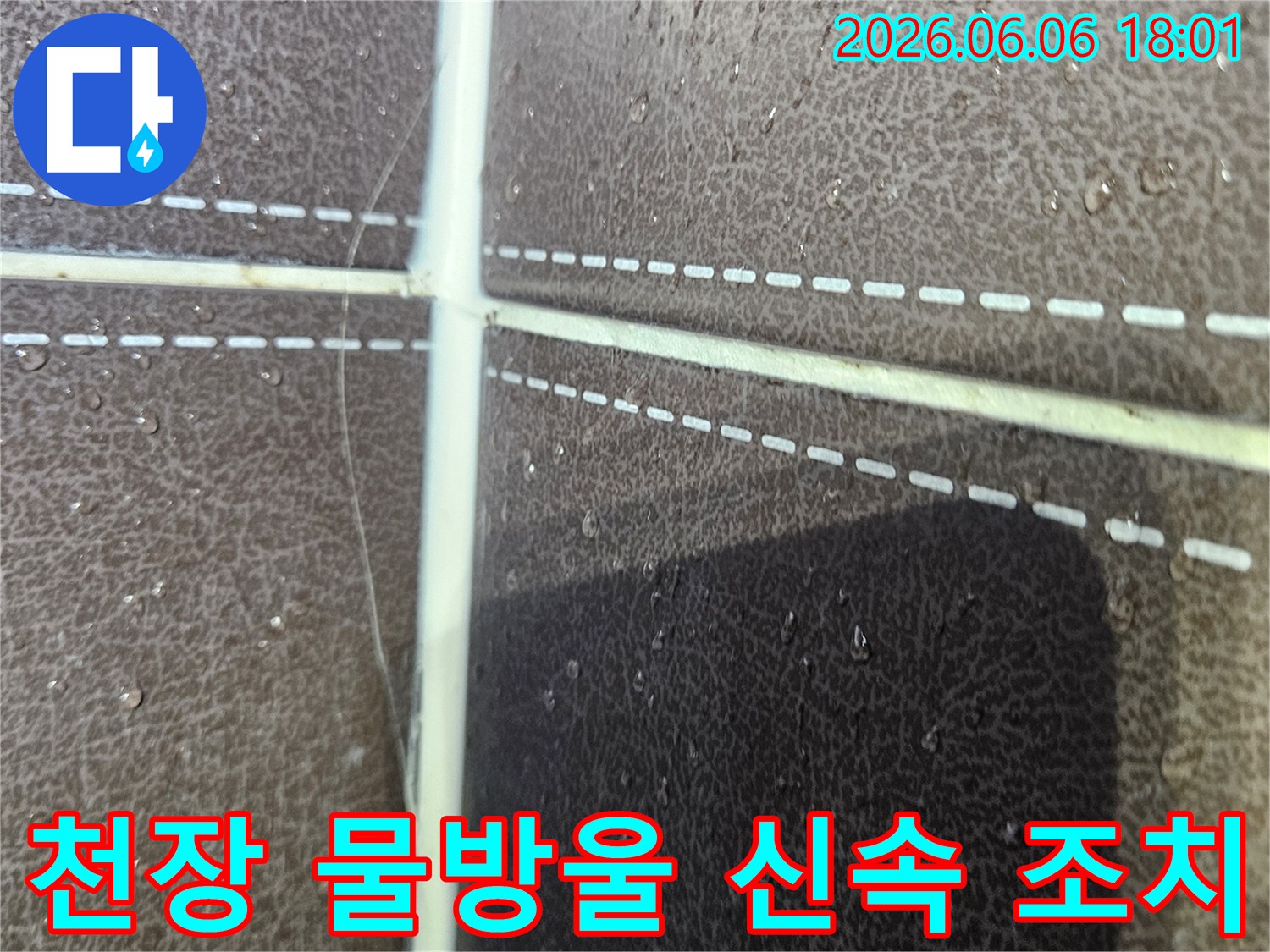 주택 천장에 맺힌 물방울은-누수 전문가의-신속한 조치가 필요한 상황입니다
