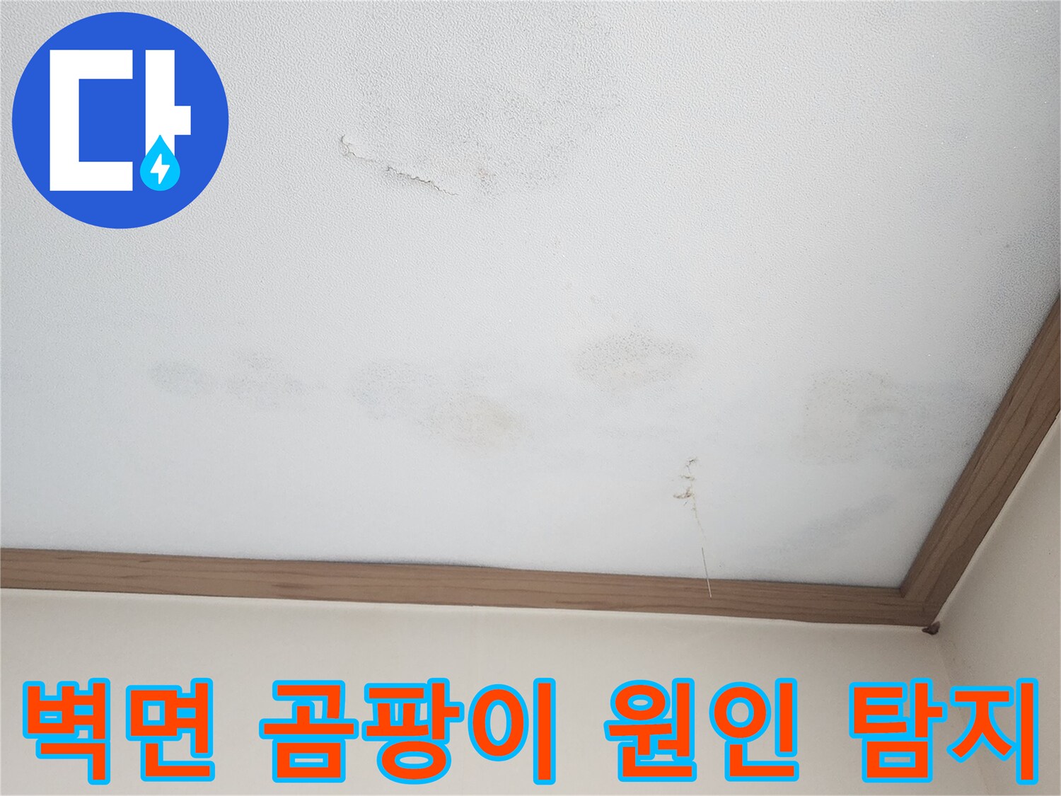 아랫집 벽면에 번식한 누수성 곰팡이-벽지 손상과 함께 습기가 가득한 모습으로-곰팡이의 근본적인 원인인 누수를 탐지하고 제거해야 합니다.
