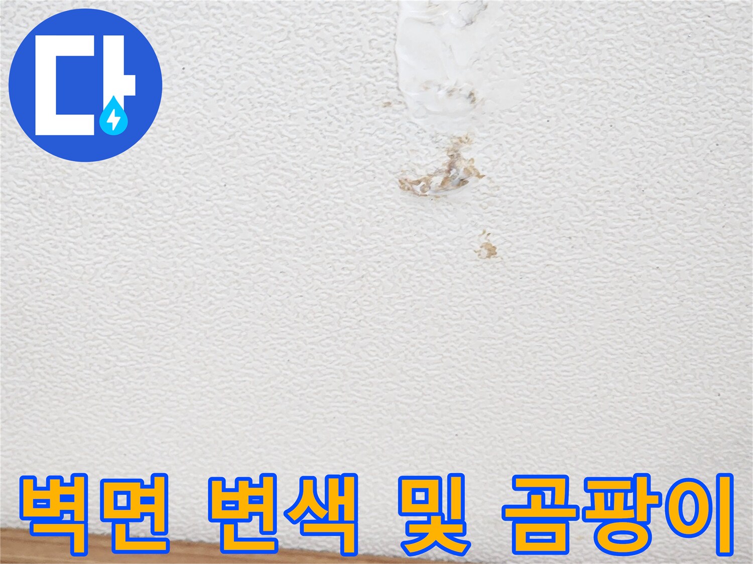 아파트-벽면의-변색과-곰팡이-흔적을-정밀하게-조사하는-모습