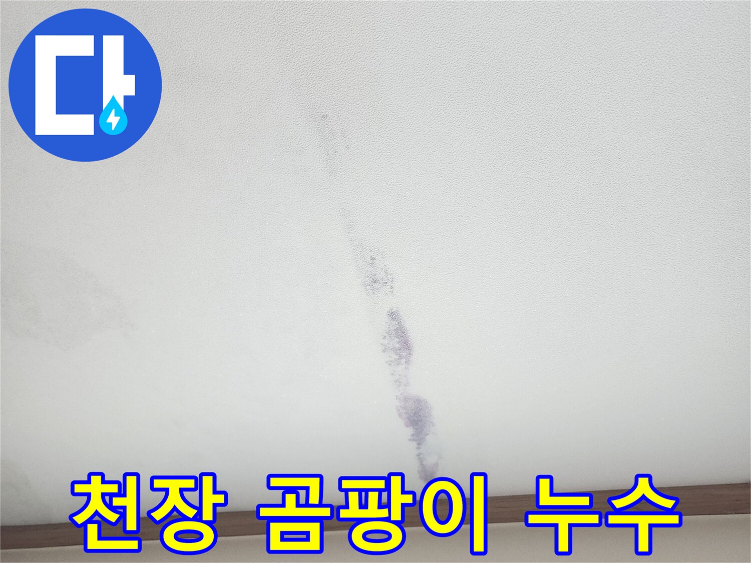 천장에 생긴-보라색 곰팡이 얼룩은-누수와 함께-발생하는-흔한 현상입니다.