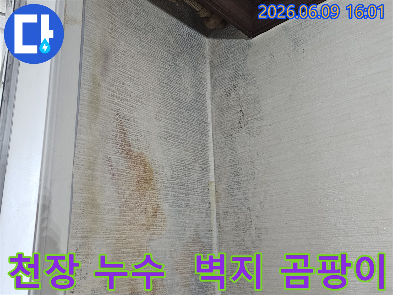 천장 벽지에-누수로 인한-물 얼룩과-검은 곰팡이가-번져있는-모습입니다