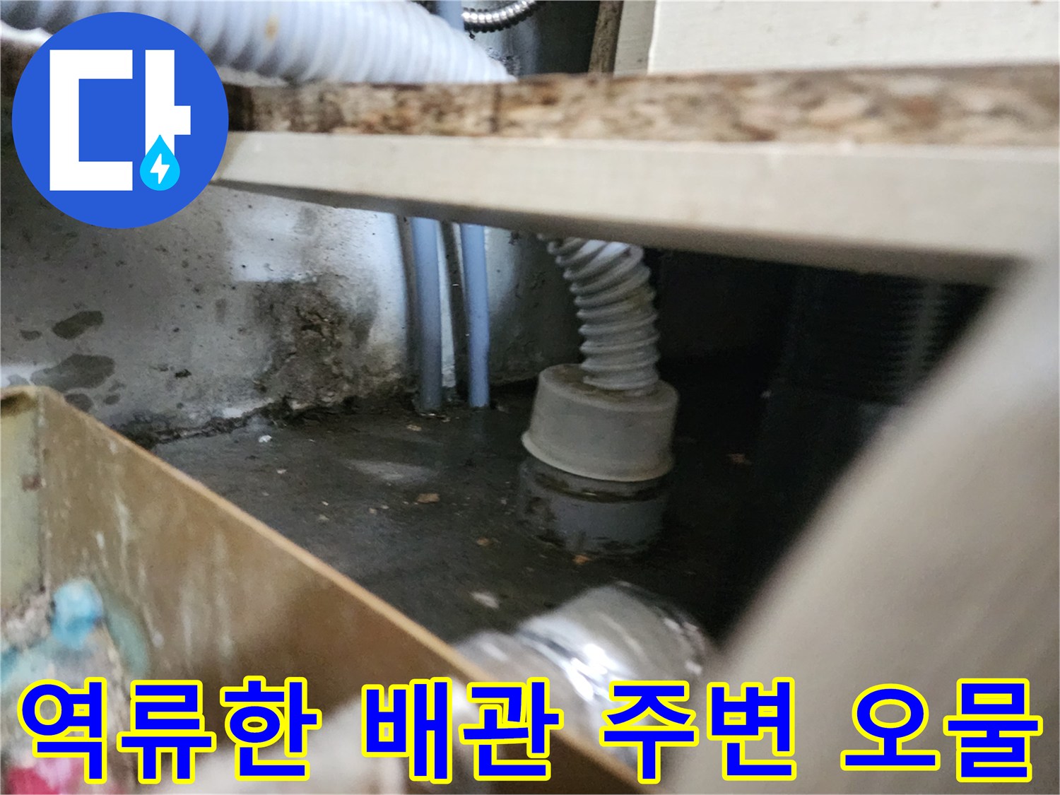 싱크대-아래쪽-배관-주변에-역류하여-남은-오물들