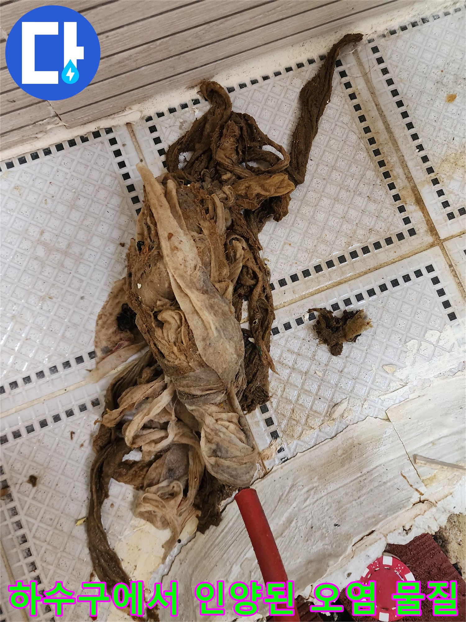 배관 청소 작업 중 추출된 다량의 머리카락과 슬러지