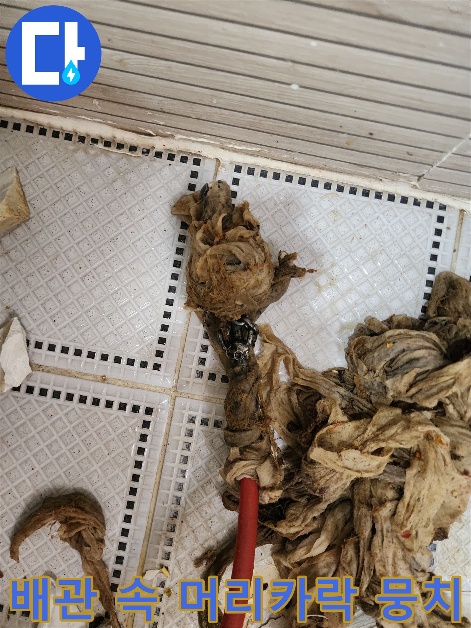 배수구 막힘을 유발한 다량의 머리카락과 오물 덩어리