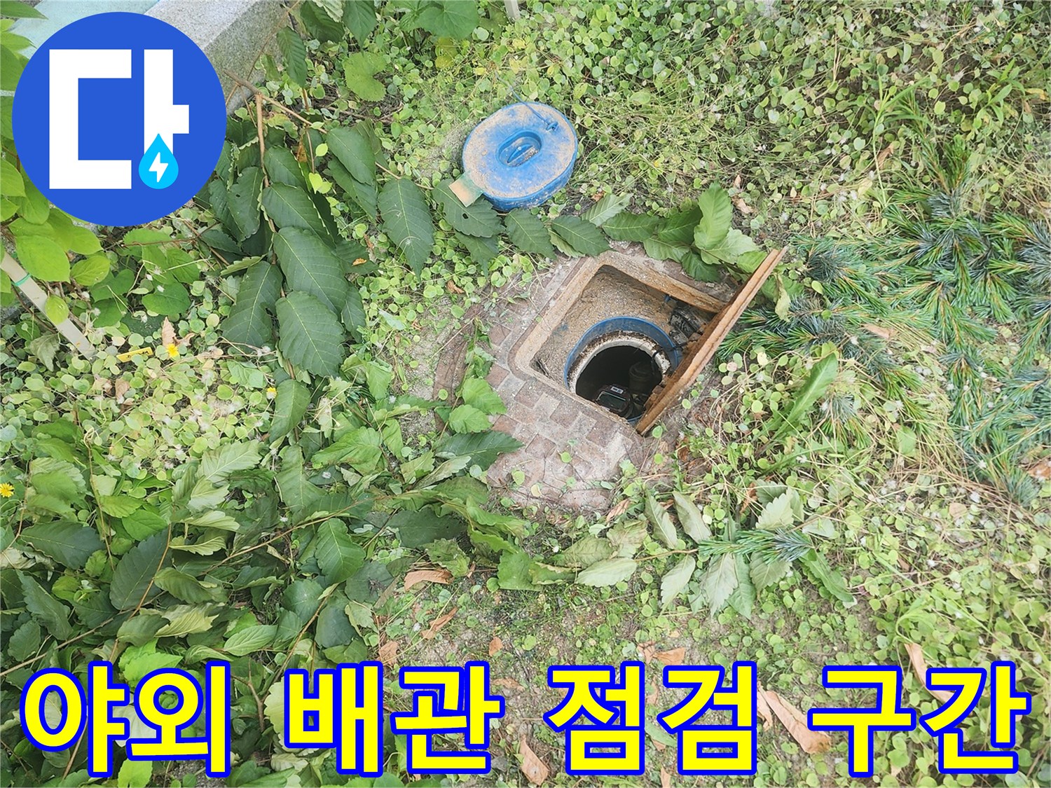 풀숲에 위치한 건물 외부 배관 점검구 모습입니다.
