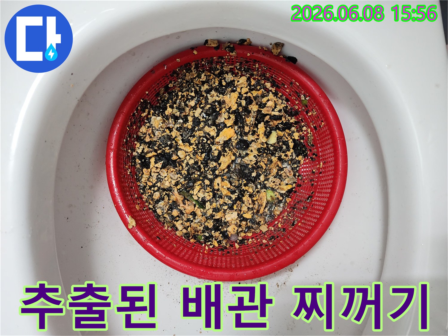 스케일링 작업 후 거름망에 모인 기름 슬러지 조각들