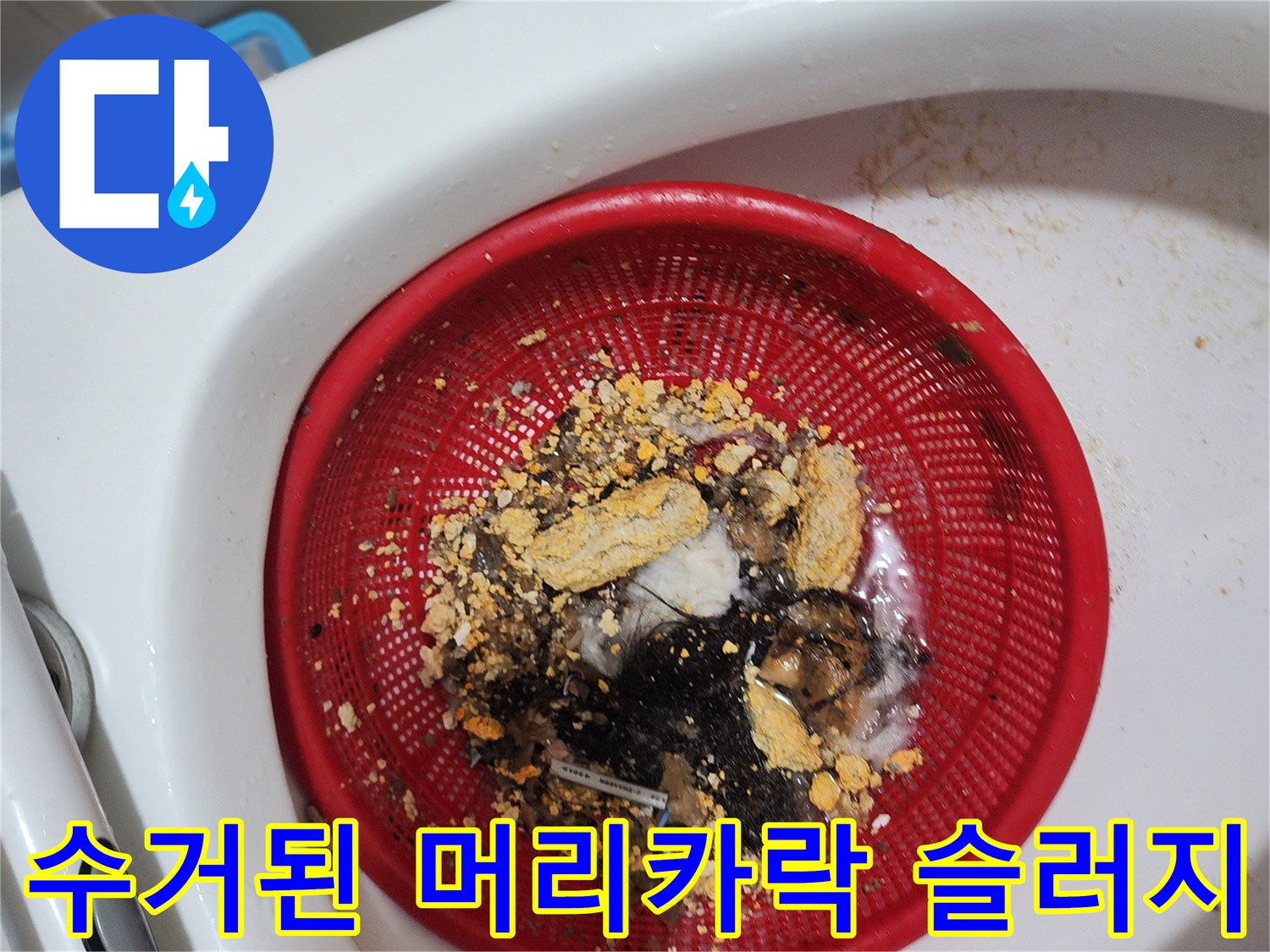막힌 배관에서 추출한-머리카락과 오염 덩어리